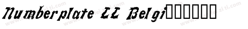 Numberplate LL Belgi字体转换